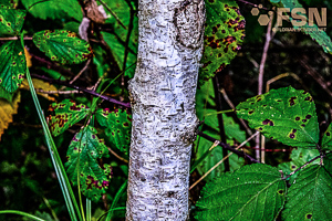 Vorschau von DSC00579.jpg