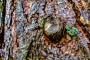 Vorschau von DSC00585.jpg