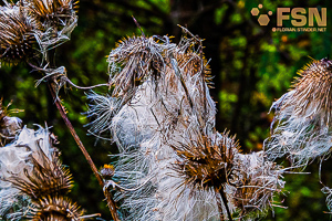 Vorschau von DSC00592.jpg