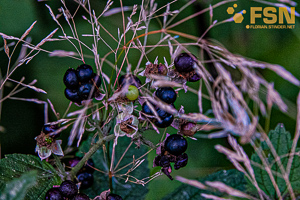 Vorschau von DSC00597.jpg