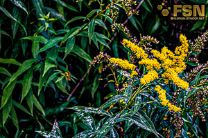 Vorschau von DSC00601.jpg