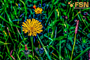 Vorschau von DSC00611.jpg