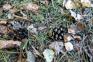 Vorschau von DSC00619.jpg