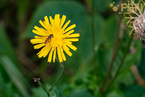 Vorschau von DSC00627.jpg