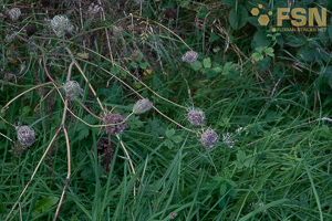 Vorschau von DSC00630.jpg