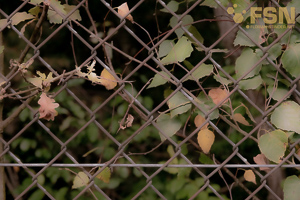 Vorschau von DSC00641.jpg