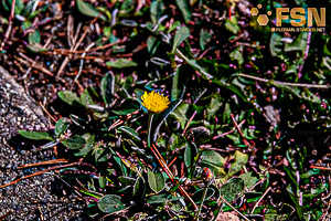 Vorschau von DSC00672.jpg