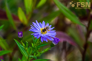 Vorschau von DSC00681.jpg