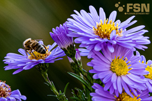 Vorschau von DSC00687-4.jpg