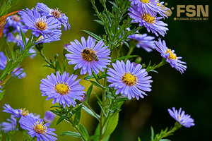 Vorschau von DSC00688.jpg