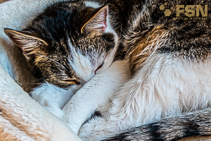 Vorschau von DSC00722.jpg