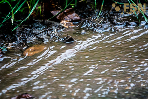 Vorschau von DSC00757.jpg