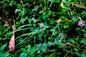 Vorschau von DSC00770.jpg