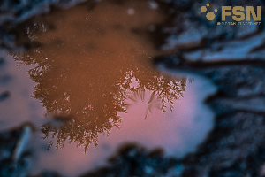 Vorschau von DSC00781.jpg