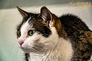 Vorschau von DSC00439.jpg