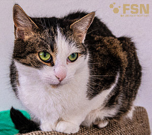 Vorschau von DSC00441.jpg