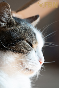 Vorschau von DSC00569.jpg