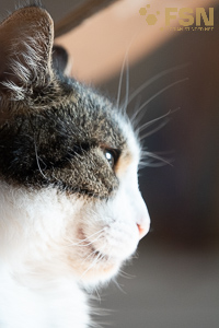 Vorschau von DSC00572.jpg