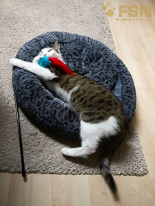 Vorschau von rps20170924_182537.jpg