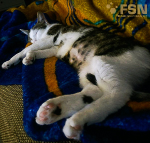 Vorschau von rps20180205_201553.jpg