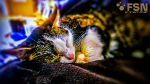 Vorschau von rps20201212_124759.jpg