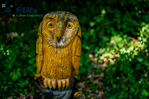 Vorschau von IMG_8054.jpg