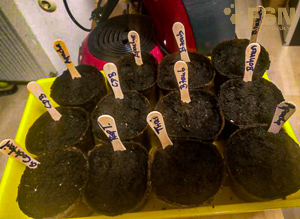 Vorschau von IMG_20190219_214623.jpg