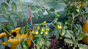 Vorschau von IMG_20190609_175216.jpg