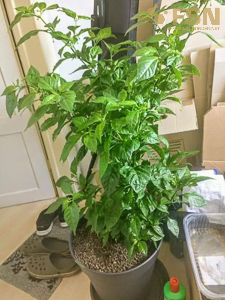 Vorschau von received_324934098071899.jpg