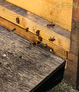 Vorschau von IMG_20210223_101604.jpg