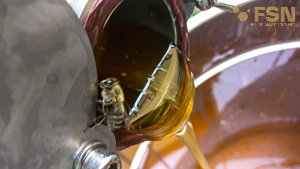 Vorschau von IMG_20210813_164733.jpg