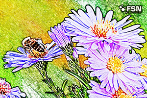 Vorschau von 95110163.jpg