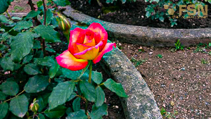 Vorschau von IMG_20190616_153729.jpg