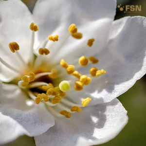 Vorschau von IMG_20220325_124915~2.jpg