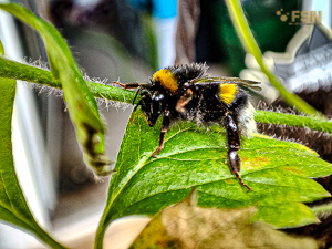 Vorschau von IMG_20220530_173024.jpg