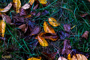 Vorschau von DSC00768.jpg