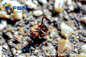 Vorschau von IMG_1632wtmk.jpg