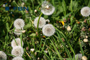 Vorschau von IMG_4407wtmk.jpg