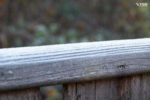 Vorschau von _DSC1875.jpg