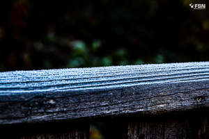 Vorschau von _DSC1876.jpg