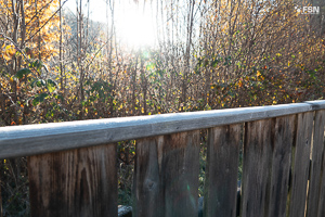 Vorschau von _DSC1884.jpg