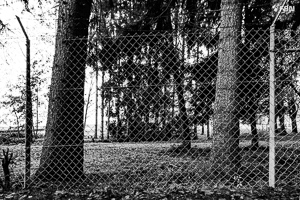 Vorschau von _DSC1896.jpg