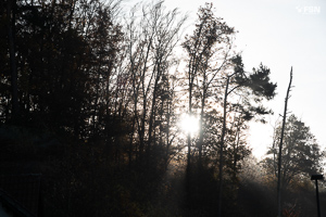 Vorschau von _DSC1908.jpg