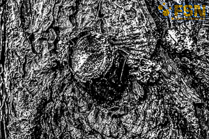 Vorschau von DSC00584.jpg