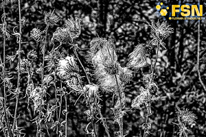 Vorschau von DSC00591.jpg