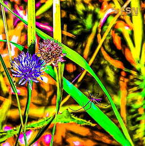 Vorschau von DSC00612.jpg