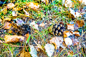 Vorschau von DSC00618.jpg