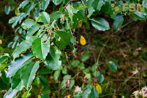 Vorschau von DSC00620.jpg