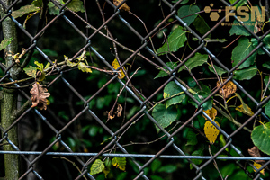 Vorschau von DSC00640.jpg