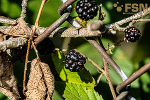 Vorschau von DSC00643.jpg